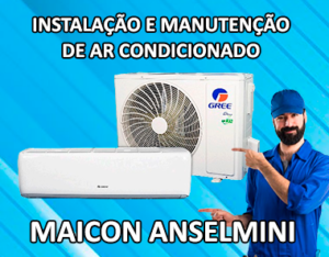 ANSELMINI