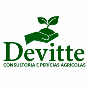 Logo DEVITTE